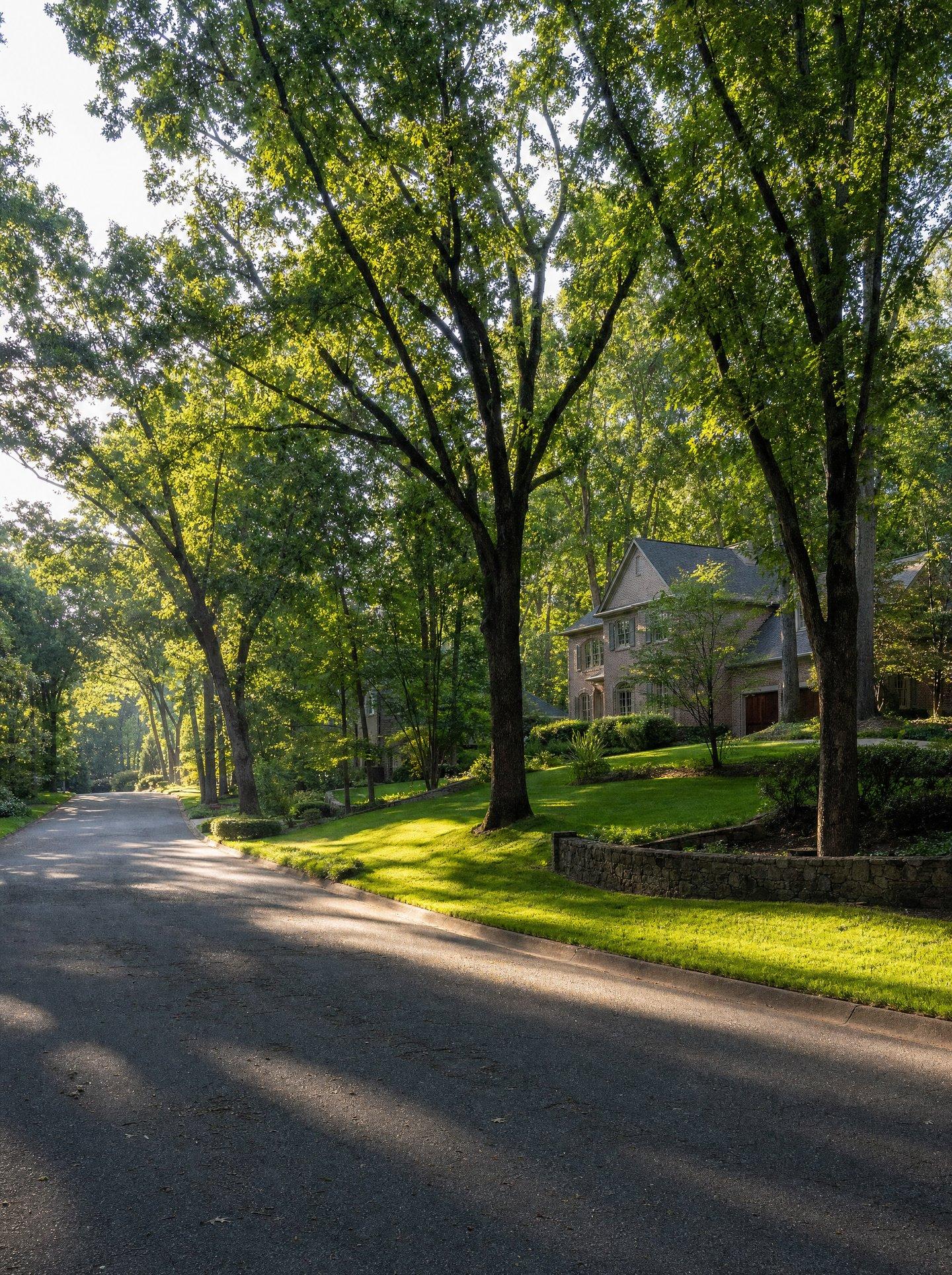Tree-lined residential street with large homes in Sandy Springs, Georgia